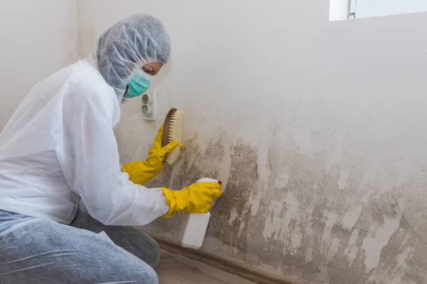 Crawl Space Mold Removal in Sharon, WI