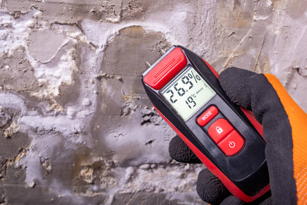 Best Office Mold Removal Services  in Sharon, WI