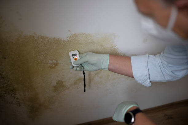 Best Professional Mold Removal  in Sharon, WI