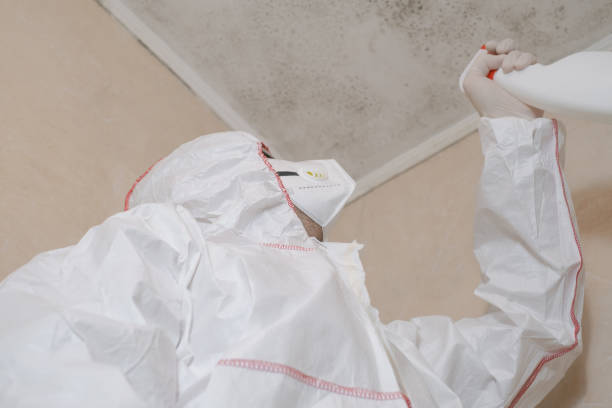 Best Local Mold Removal Service  in Sharon, WI